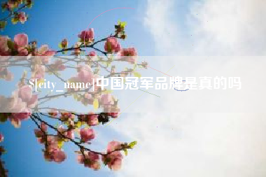 韩城中国冠军品牌是真的吗