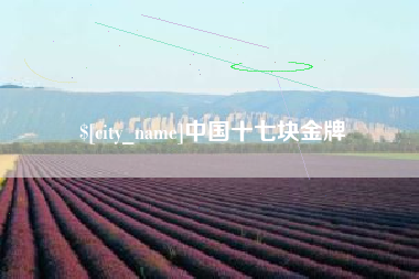 韩城中国十七块金牌