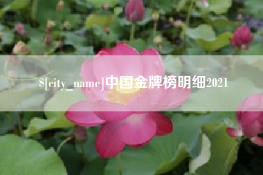 韩城中国金牌榜明细2021