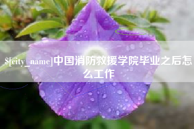 韩城中国消防救援学院毕业之后怎么工作