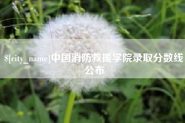 韩城中国消防救援学院录取分数线公布