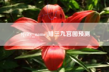 韩城排三九宫图预测