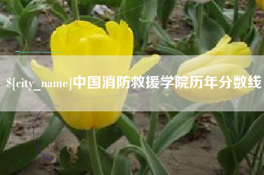 韩城中国消防救援学院历年分数线