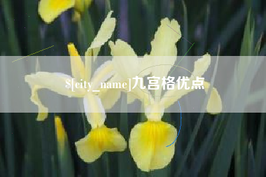 韩城九宫格优点