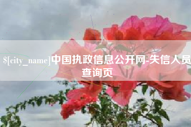 韩城中国执政信息公开网-失信人员查询页