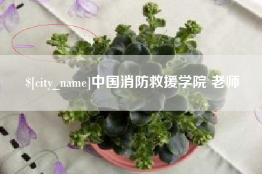 韩城中国消防救援学院 老师
