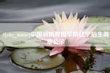 韩城中国消防救援学院辽宁招生简章公示