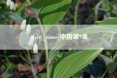 韩城中国第9金