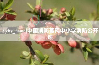 韩城中国消防官网中小学消防公开课