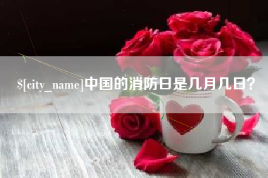 韩城中国的消防日是几月几日？