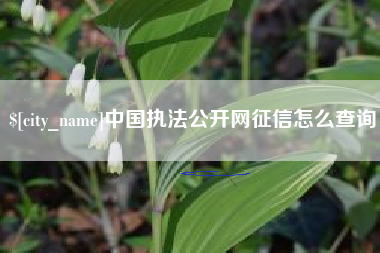 韩城中国执法公开网征信怎么查询