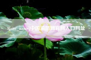 韩城中国消防网官网入口网址