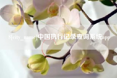 韩城中国执行记录查询系统app