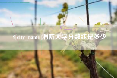 韩城消防大学分数线是多少