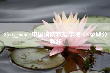 韩城中国消防救援学院2019录取分数线