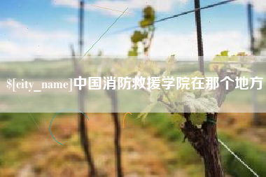 韩城中国消防救援学院在那个地方