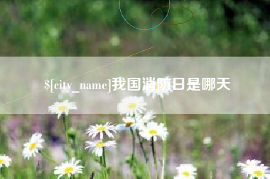 韩城我国消防日是哪天