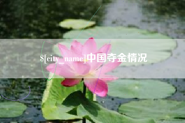 韩城中国夺金情况