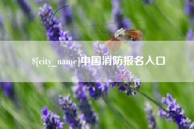 韩城中国消防报名入口