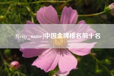 韩城中国金牌排名前十名