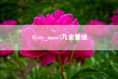 韩城九金是谁