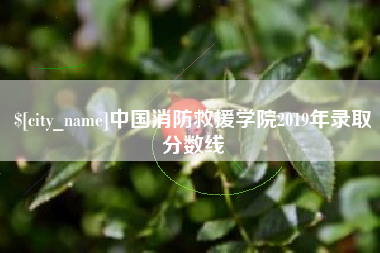 韩城中国消防救援学院2019年录取分数线