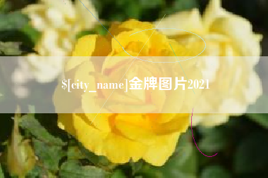 韩城金牌图片2021