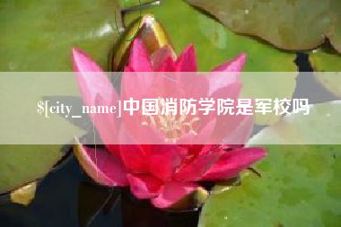 韩城中国消防学院是军校吗