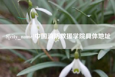 韩城中国消防救援学院具体地址