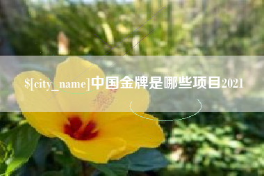韩城中国金牌是哪些项目2021