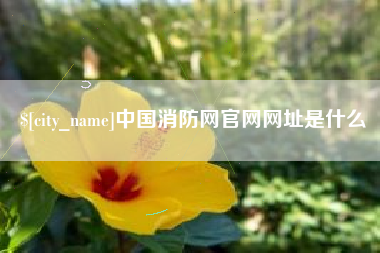 韩城中国消防网官网网址是什么