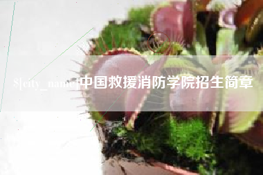 韩城中国救援消防学院招生简章