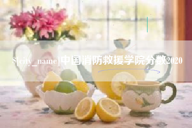 韩城中国消防救援学院分数2020