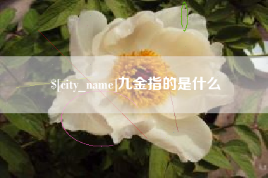 韩城九金指的是什么