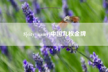 韩城中国九枚金牌