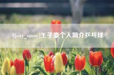 韩城王子豪个人简介乒乓球