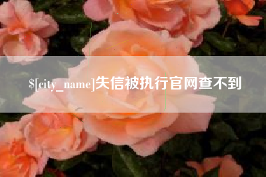 韩城失信被执行官网查不到