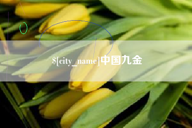 韩城中国九金