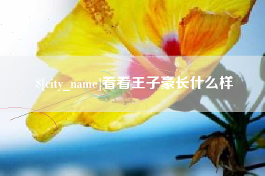 韩城看看王子豪长什么样