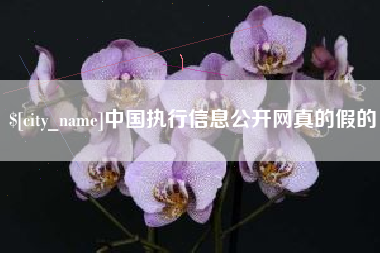 韩城中国执行信息公开网真的假的