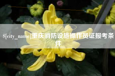 韩城重庆消防设施操作员证报考条件