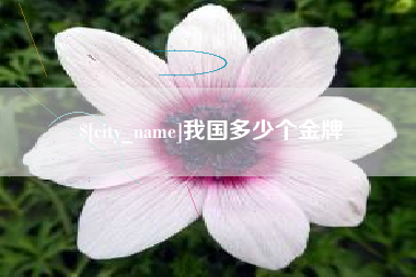韩城我国多少个金牌