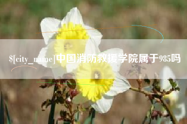 韩城中国消防救援学院属于985吗