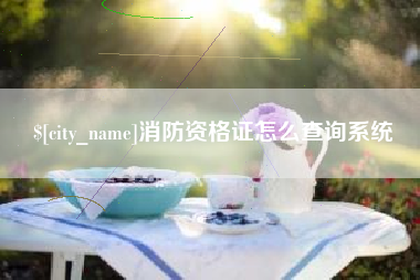 韩城消防资格证怎么查询系统