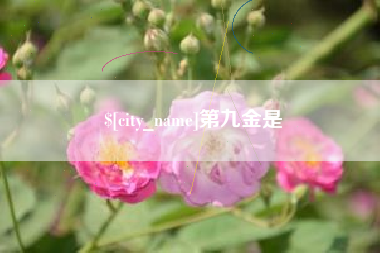 韩城第九金是