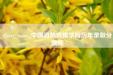 韩城中国消防救援学院历年录取分数线