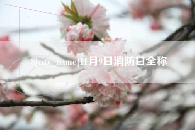 韩城11月9日消防日全称