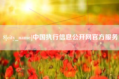 韩城中国执行信息公开网官方服务