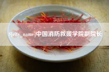 韩城中国消防救援学院副院长