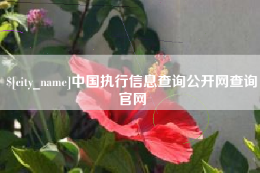 韩城中国执行信息查询公开网查询官网